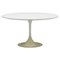 Tulip Dining Table attributed to Eero Saarinen for Knoll, USA, 1960s 1