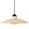 Mid-Century Hanging Lamp by Louis Kalff for Philips 2
