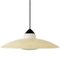 Mid-Century Hanging Lamp by Louis Kalff for Philips, Image 12