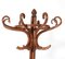Art Nouveau Beech & Bentwood Hat and Coat Stand, 1900s 4