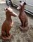 Perros guardianes Greyhound de hierro fundido natural oxidado, años 20. Juego de 2, Imagen 1