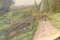 Gran paisaje de campo, del siglo XIX, pintura sobre lienzo, enmarcado, Imagen 30