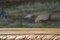 Gran paisaje de campo, del siglo XIX, pintura sobre lienzo, enmarcado, Imagen 6