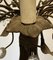 Lámpara de araña de cubierta vintage en forma de flor, años 60, Imagen 6