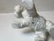 Scottish Terrier Figurine in Porcelain from Schaubach Kunst, 1950s, Image 7