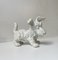 Figurine Scottish Terrier en Porcelaine de Schaubach Kunst, 1950s 3