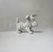 Scottish Terrier Figurine in Porcelain from Schaubach Kunst, 1950s 2