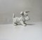 Scottish Terrier Figurine in Porcelain from Schaubach Kunst, 1950s, Image 2