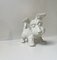 Scottish Terrier Figurine in Porcelain from Schaubach Kunst, 1950s 1