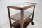 Art Deco Serving Bar Cart, Former Czechoslovakia, 1930s 10