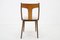 Dining Chairs in Walnut Finish, Former Czechoslovakia, 1950s, Set of 4 8