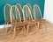 Planktop Dining Table & Windsor Chairs by Lucian Ercolani for Ercol, Set of 6 12