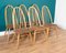 Planktop Dining Table & Windsor Chairs by Lucian Ercolani for Ercol, Set of 6, Image 12