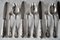 Antique Louis XVI Silver-Plated Wiskemann Cutlery Flatware Set, 1920, Set of 36, Image 6