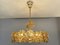 Chandelier in Gold-Plated Brass & Crystal from Palwa, 1970s 7