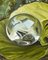 Gabriella Giardi, Serie Marbles: Glass Ball, 2017, óleo sobre lienzo, Imagen 4