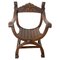 French Neogothic Chestnut Curule Armchair with Lionheads, 1900s 1