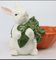 Bac Lapin avec Carrot par Hoff interieur 3