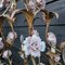 Italian Tole Chandelier with Pink Porcelain Roses and Acanthus Leaves, 1960s 10