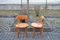 Chaises Scandinaves en Pin par Rainer Daumiller, 1970s, Set de 6 15