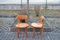 Scandinavian Pine Chairs by Rainer Daumiller, 1970s, Set of 6 15