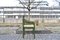 Green Carimate Chair in Birchwood by Vico Magistretti, 1960s, Set of 6 14