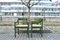 Grüner Carimate Stuhl aus Birkenholz von Vico Magistretti, 1960er, 6er Set 9