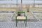 Grüner Carimate Stuhl aus Birkenholz von Vico Magistretti, 1960er, 6er Set 21