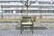 Grüner Carimate Stuhl aus Birkenholz von Vico Magistretti, 1960er, 6er Set 20