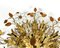 Ceiling Lamp with Golden Leaf with Murano Glass Flowers by Banci Firenze, Italy, 1960s 6