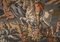 Antique French Verdure Tapestry, Image 6