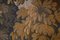 Antique French Verdure Tapestry 18