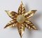 Golden Flowers Wall Lamp by Willy Daro from Massive, 1970s, Image 8