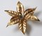 Golden Flowers Wall Lamp by Willy Daro from Massive, 1970s, Image 12