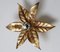 Golden Flowers Wall Lamp by Willy Daro from Massive, 1970s 10