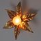 Golden Flowers Wall Lamp by Willy Daro from Massive, 1970s 14