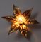 Golden Flowers Wall Lamp by Willy Daro from Massive, 1970s, Image 15