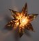 Golden Flowers Wall Lamp by Willy Daro from Massive, 1970s, Image 9