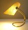 Vintage Desk Lamp by Rupert Nikoll for Rupert Nikoll 10