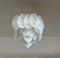 Murano Ceiling Lamp in Frosted Carved Glass Leaves, 1990 2