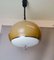 Dutch Mid-Century Modern Mushroom-Colored Acrylic Retractable Hanging Lamp attributed to Dijkstra, 1970s 10