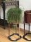 Meiji Era Wooden Planters with Stands, Japan, 1880s, Set of 2 6