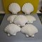 Vintage Biscuit Porcelain Shells, 1920s, Set of 7 2