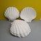 Vintage Biscuit Porcelain Shells, 1920s, Set of 7 3