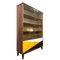 Mid-Century Bookcase, Poland, 1960s 3