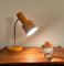 Italian Goose Neck Table Lamp by Achille Castiglioni for Lumi, 1970s 3
