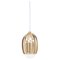 Poppy Polished Brass Pendant Lamp by Fred and Juul 1