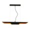 Black and Golden Metal Ceiling Lamp by Thai Natura 3