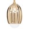 Poppy Polished Brass 12 Stem Ceiling Light by Fred&Juul, Image 2