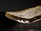 Rectangular Plate by Matthieu Gicquel 4